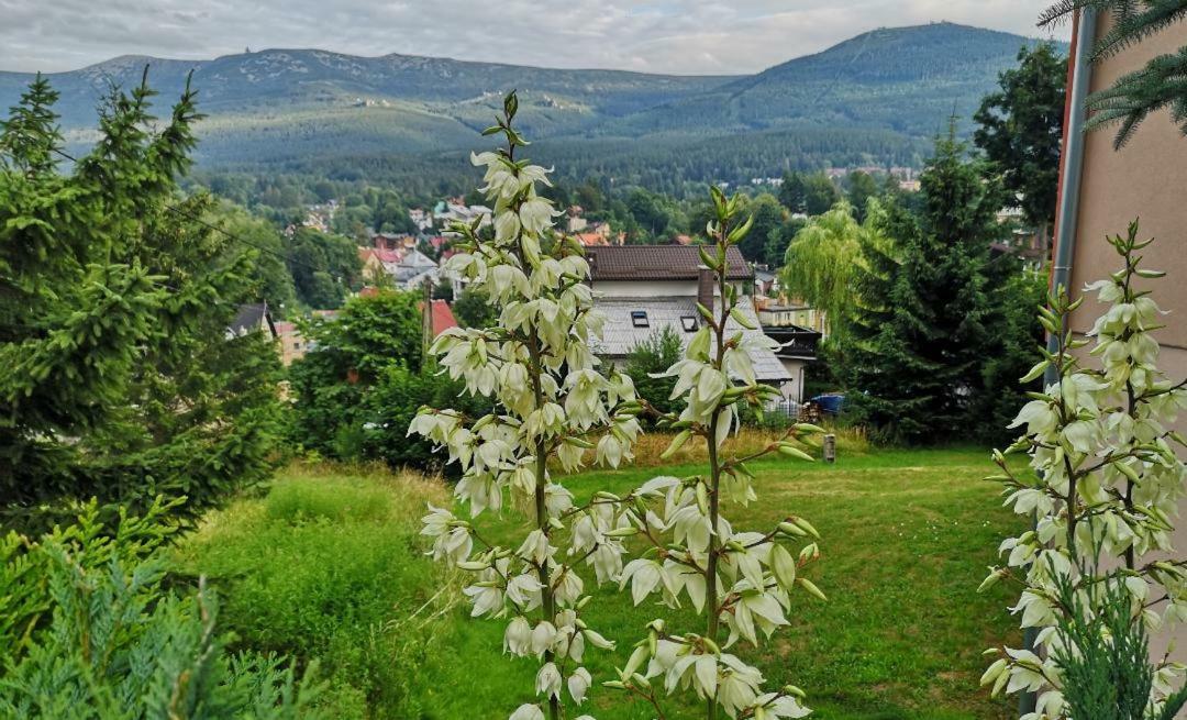 Willa Mona Bed and Breakfast Szklarska Poręba Exteriör bild